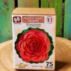 Puzzle en bois Fleur de Camélia rouge, illustration de Mathias Lamamy, découpé à la main en France
